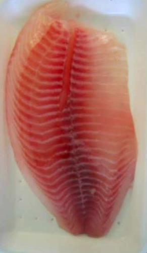 Tilapiafilet - Roher Fisch