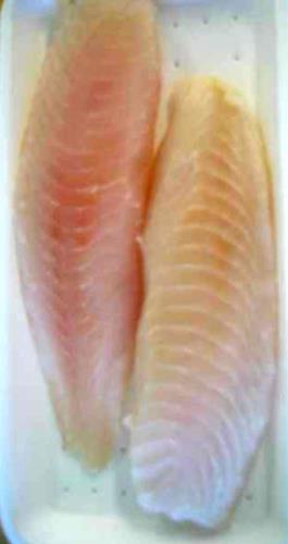 Tilapia filet - Fresh Fish